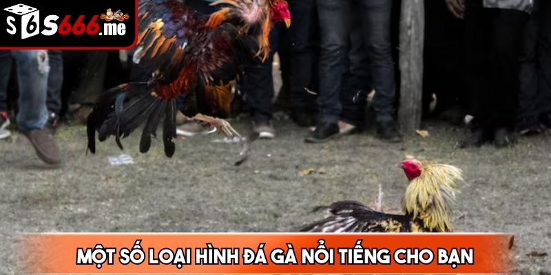 Đá gà cựa dao là một thể loại không còn mấy xa lạ đối với người chơi