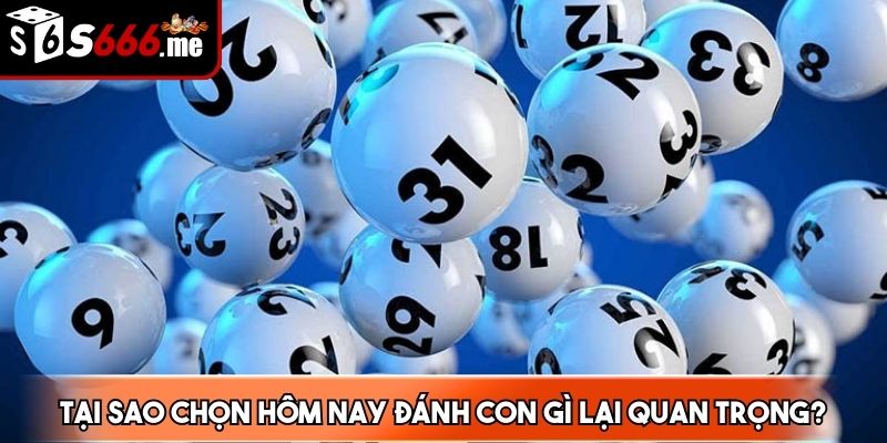 Xác định hôm nay đánh con gì dễ dàng đạt kết quả như mong đợi
