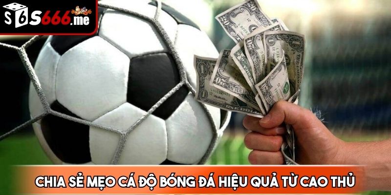Mẹo cá độ bóng đá được bật mí từ cao thủ lâu năm